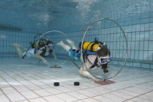 schnuppertauchen 2012_01_06_21